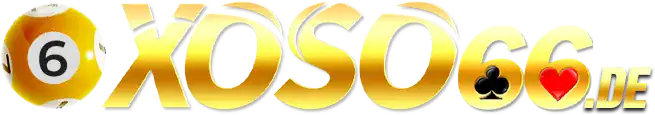 Logo vnxoso